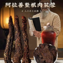 肉苁蓉阿拉善肉苁蓉品质保证各种规格量大从优