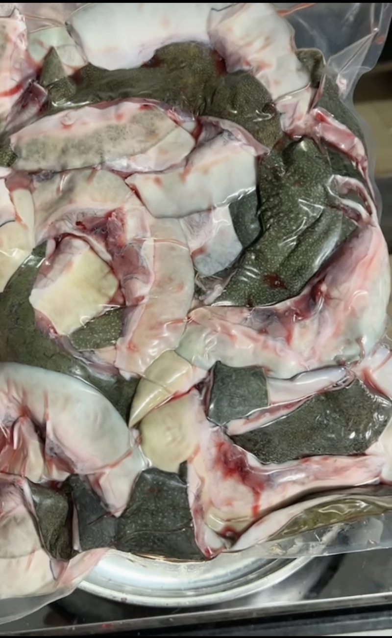 甲鱼裙边大片超厚肉水鱼裙边胶原蛋白丰富