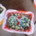 大荔冬枣，中国冬枣之乡。口感脆甜化渣，补气养血之佳品