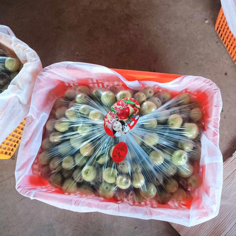 大荔冬枣，中国冬枣之乡。口感脆甜化渣，补气养血之佳品