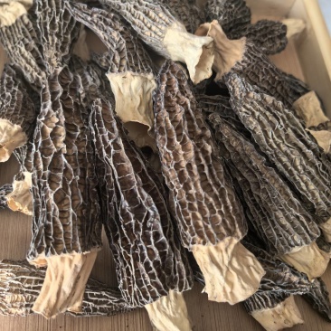 【热卖】精品羊肚菌品质保障，规格齐全支持一件代发欢迎