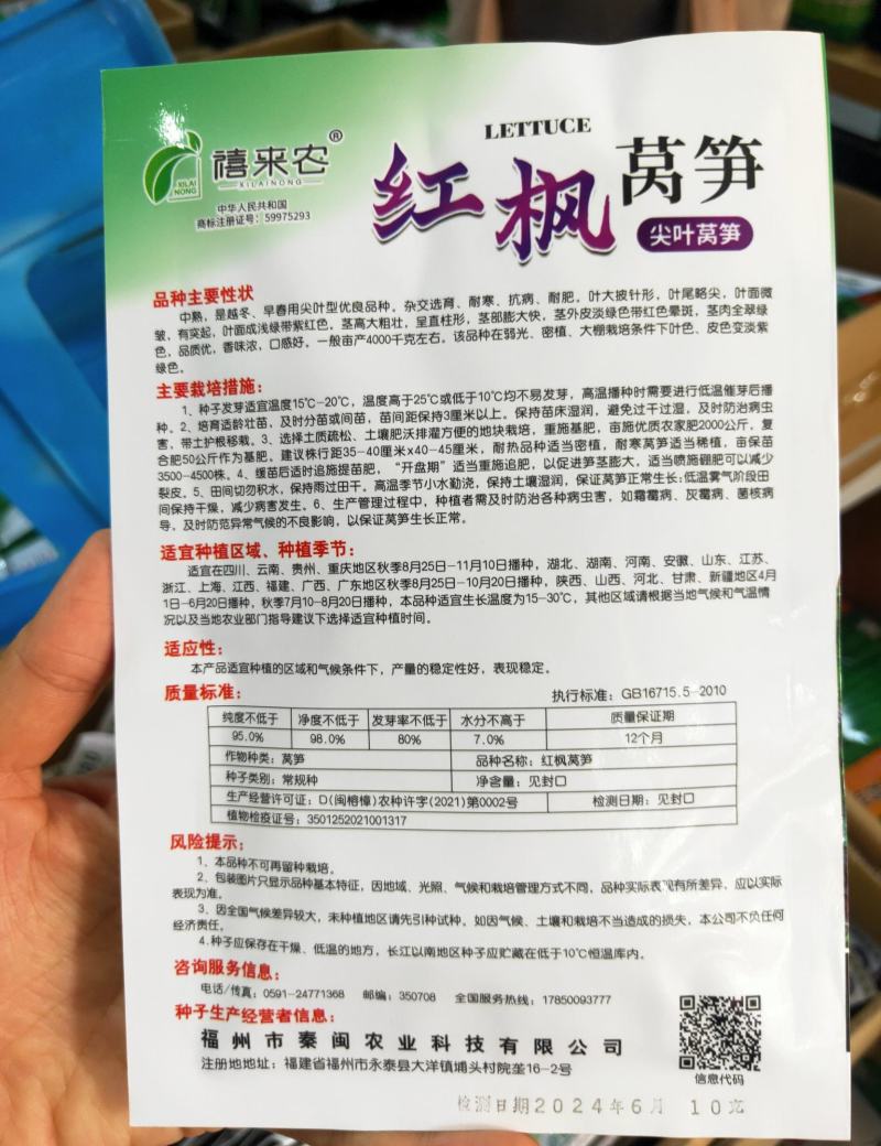 耐寒红莴笋种子中国红挂丝红莴笋种子香莴笋莴苣种子农户用