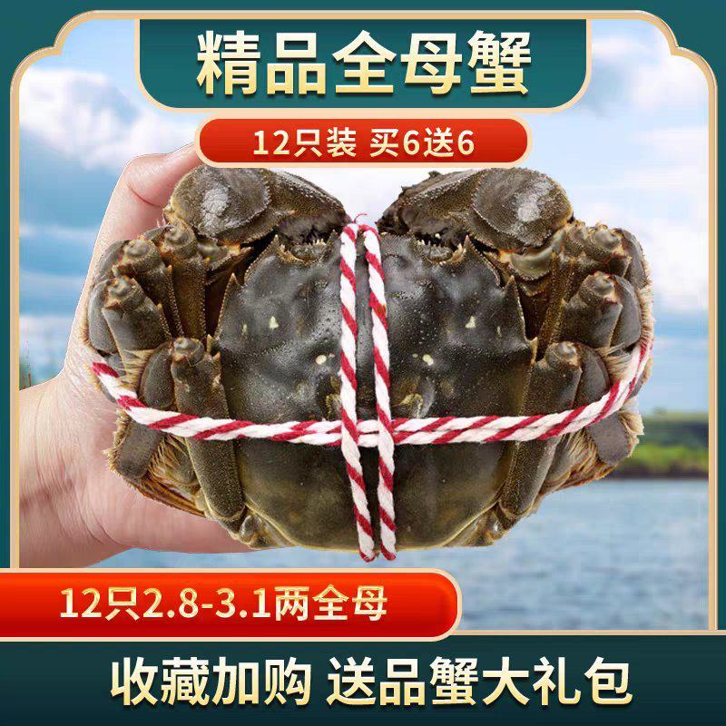 兴化精品红膏蟹，超越阳澄湖，黄满膏肥，青壳白肚