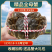 兴化精品红膏蟹，超越阳澄湖，黄满膏肥，青壳白肚