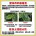 浸透增效助剂强力渗透安全高效