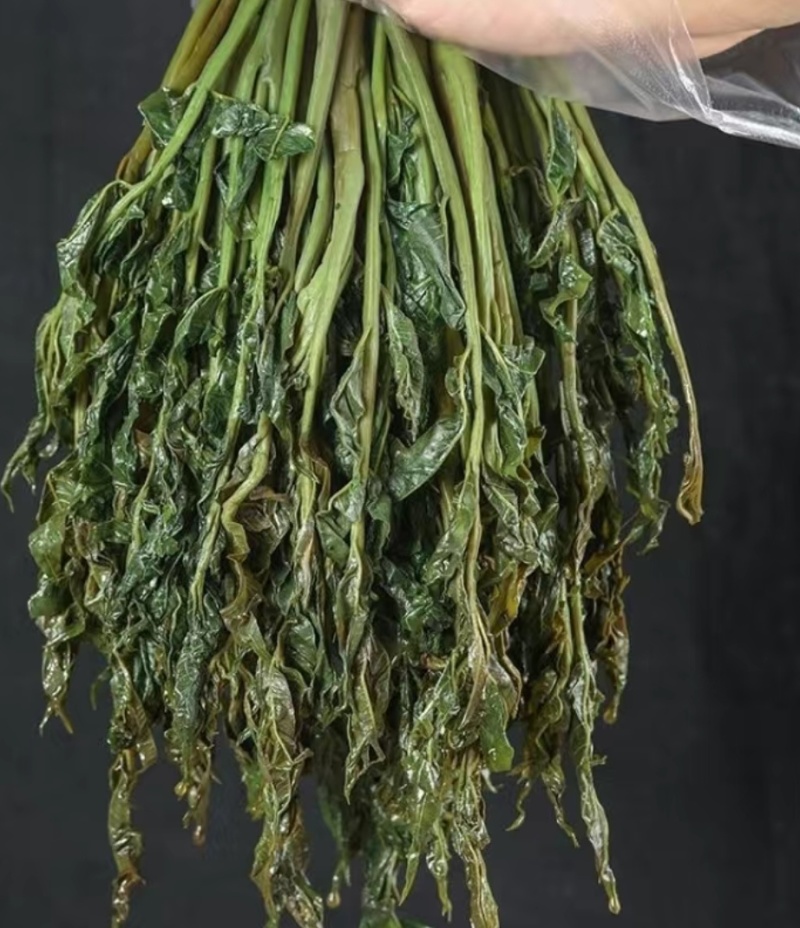 现货盐渍香椿，全国接单，各规格都有。