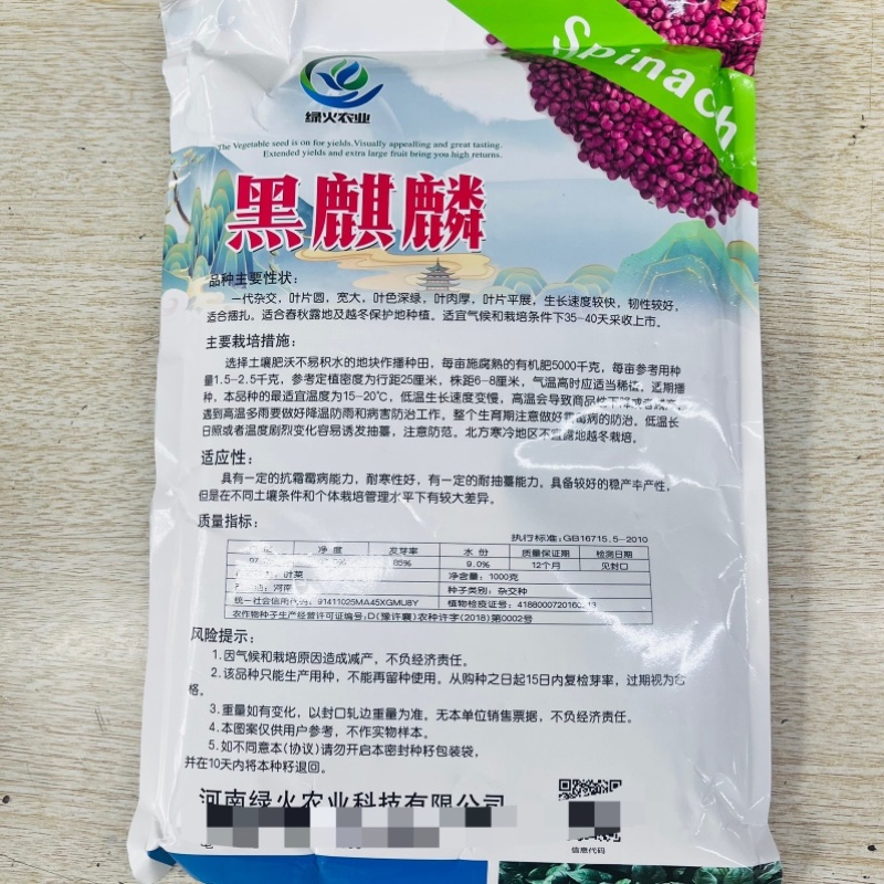 秀玉170西葫芦品种种子，油绿色，春秋种子品种种子