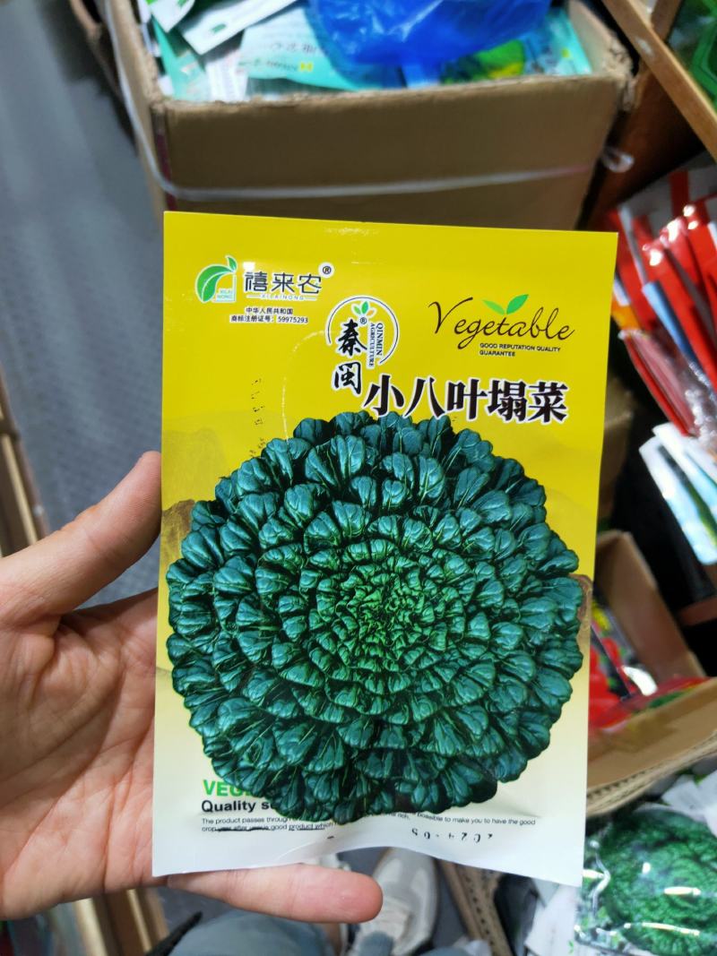 小八叶乌塌菜种子乌塔菜种子农家庭院阳台种植蔬菜种子