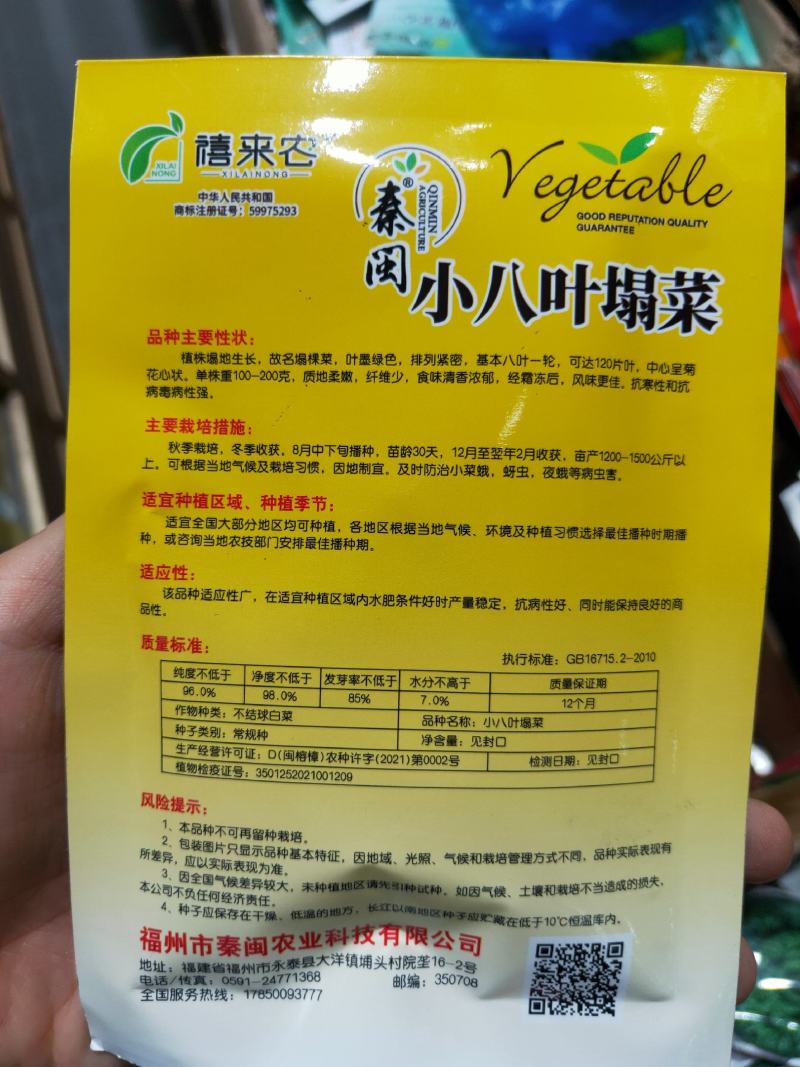 小八叶乌塌菜种子乌塔菜种子农家庭院阳台种植蔬菜种子