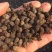 羊粪颗粒羊粪蛋羊粪球有机肥60*100常年发货