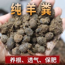 羊粪颗粒羊粪蛋羊粪球有机肥60*100常年发货