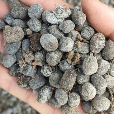 羊粪厂家直供质量保证纯羊粪球子放心使用
