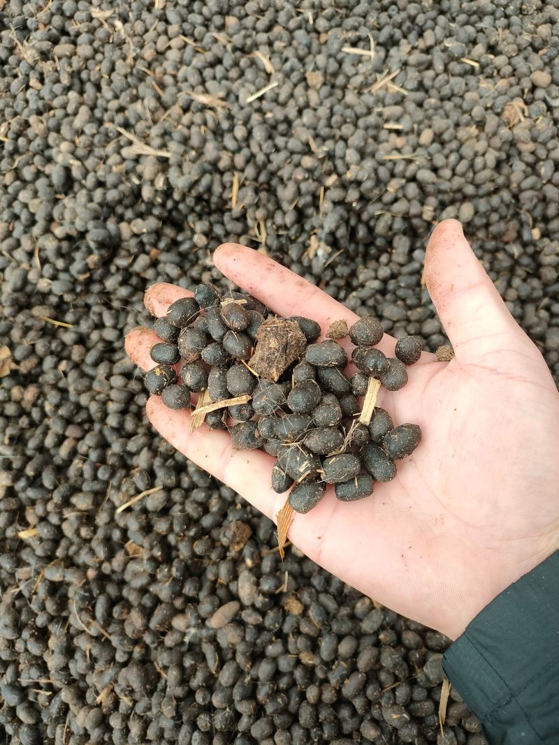 羊粪有机肥纯羊粪60*100量大从优全国发联系