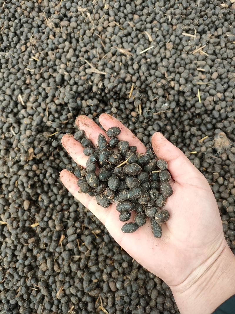 羊粪有机肥纯羊粪60*100量大从优全国发联系