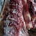 新鲜生驴肉大量供应品质保证现杀现发欢迎来电洽谈咨询