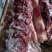 新鲜生驴肉大量供应品质保证现杀现发欢迎来电洽谈咨询