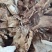 白芨，紫花三又白芨，农户少量种植，无农残化肥少