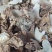 白芨，紫花三又白芨，农户少量种植，无农残化肥少