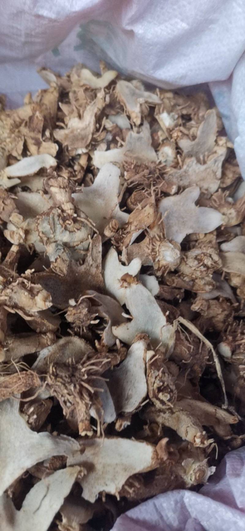 白芨，紫花三又白芨，农户少量种植，无农残化肥少