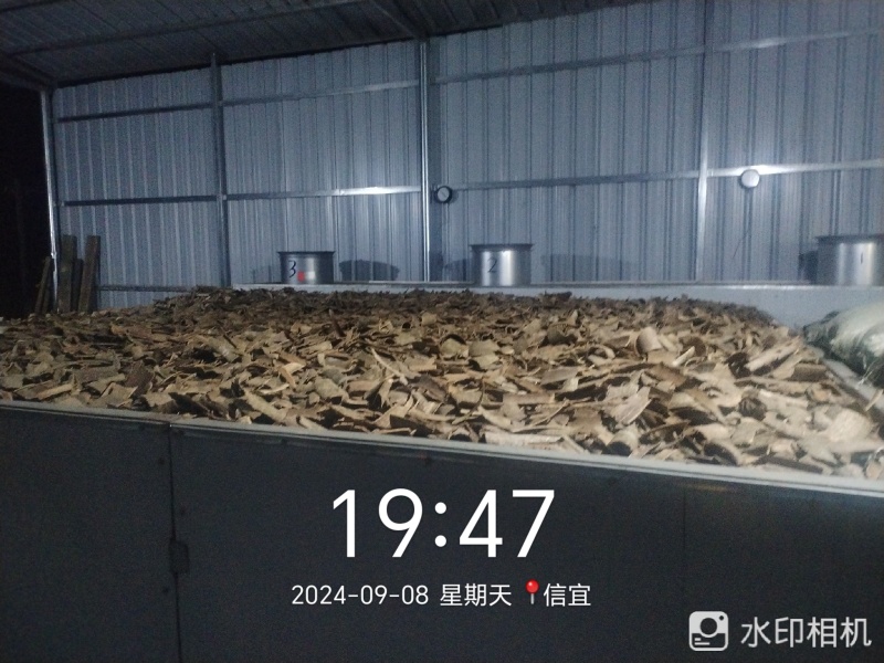 鸭脚木皮