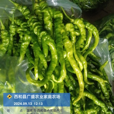 螺丝椒