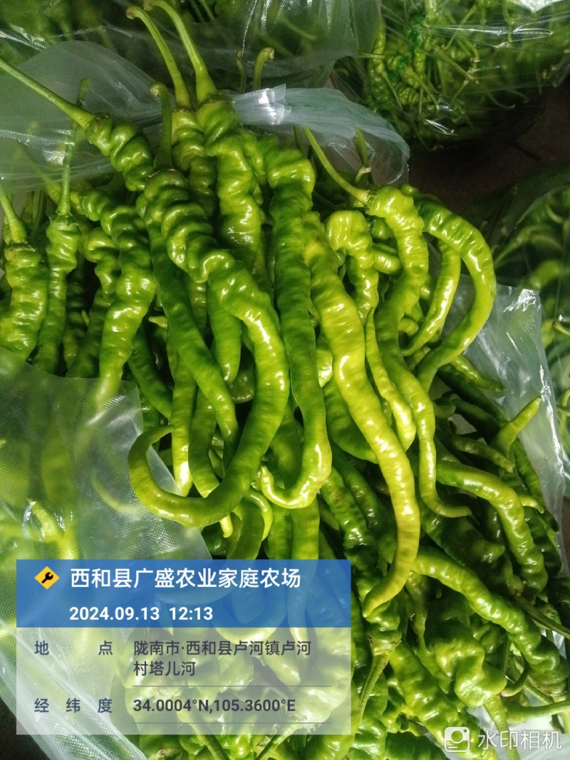 螺丝椒