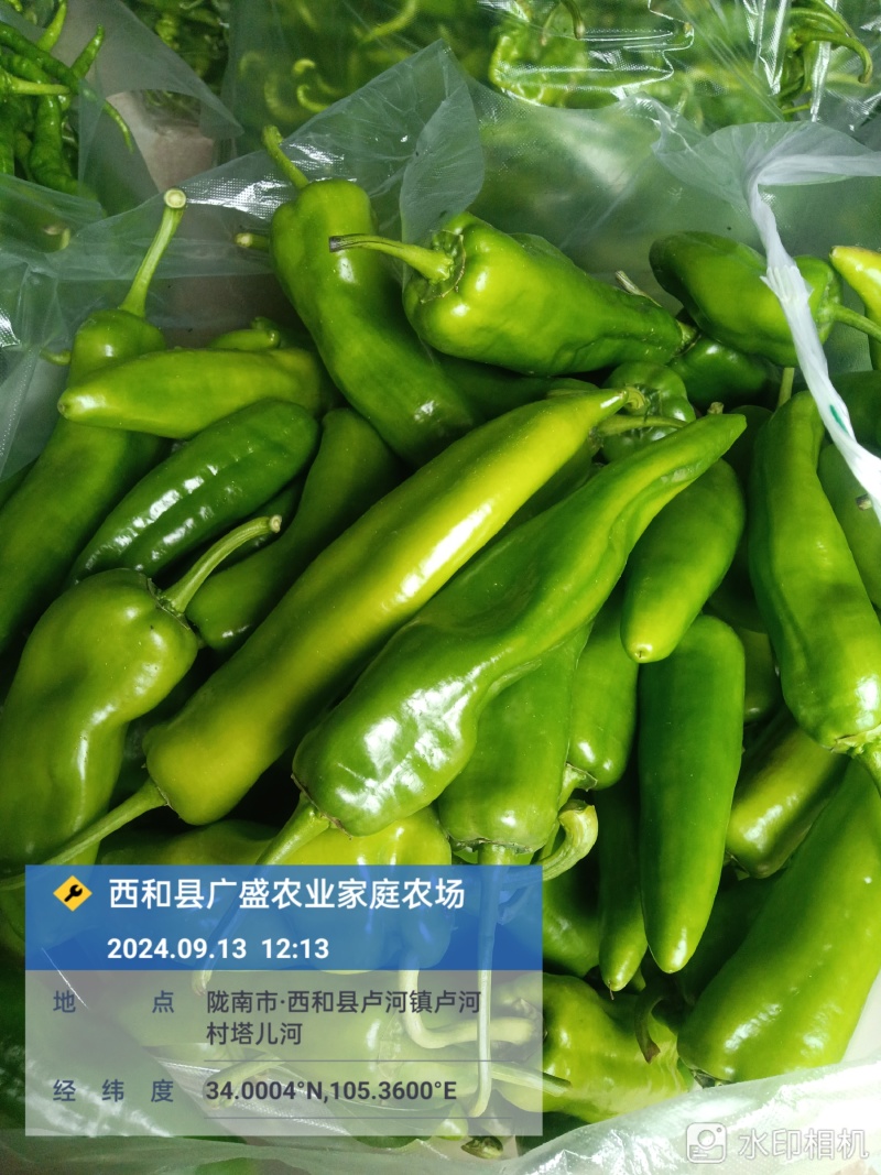 螺丝椒