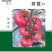 越冬耐寒西红柿种子硬粉西红柿种子石头果番茄品种耐长途运输