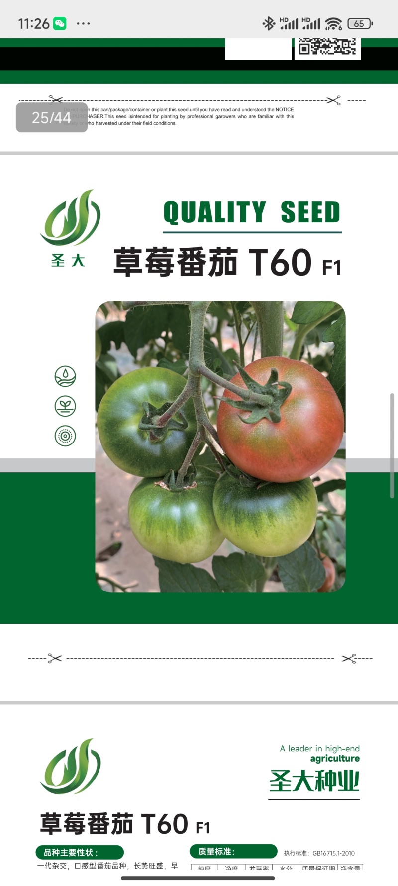 草莓西红柿种子铁皮柿子口感西红柿种子汁多籽大铁皮西红柿