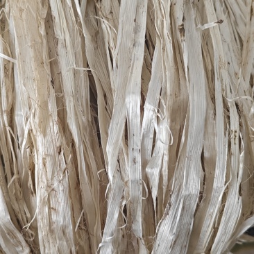 葛麻