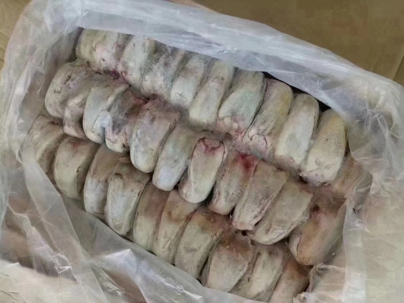 马口条
