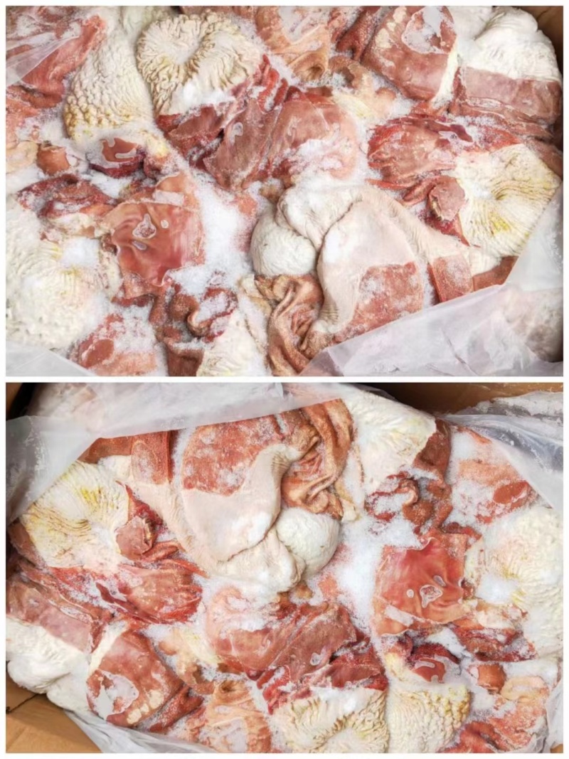 马肚子