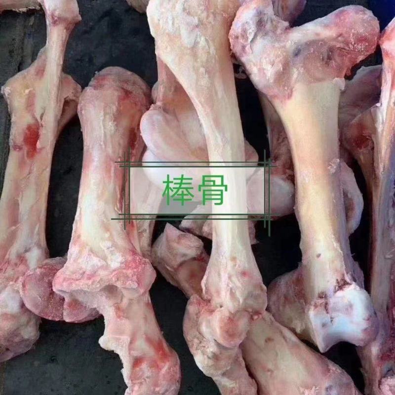 马棒骨