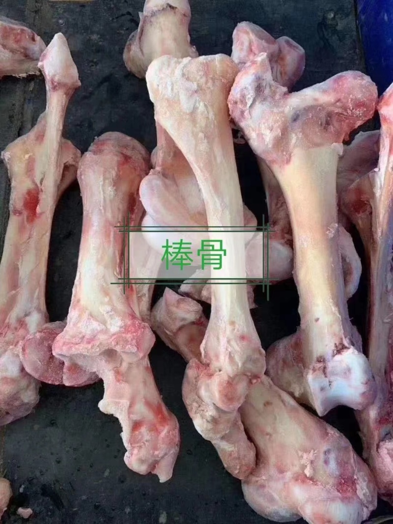 马棒骨