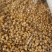 野菊花山采野菊花