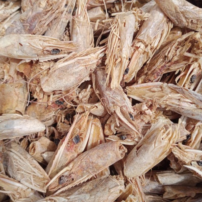 虾头整个高温水煮南美虾头饲料
