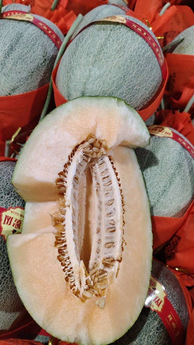 西州蜜小蜜25网纹糖度高、专业代收代发、报价真实