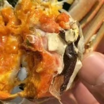江苏泰州兴化原产地塘口直销大闸蟹货源充足