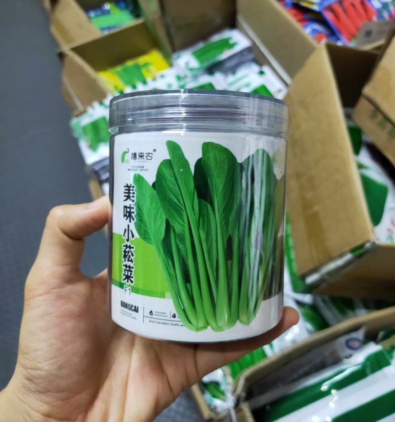 早熟小菘菜种子春秋四季青梗菜种子阳台庭院小白菜菘菜蔬菜种