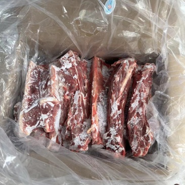 纯内蒙满肉羊蝎子