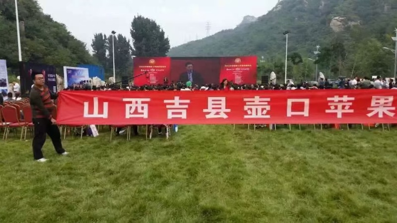 红富士苹果
