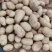 【新货】山东聊城新土豆大量上市