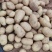 【新货】山东聊城新土豆大量上市