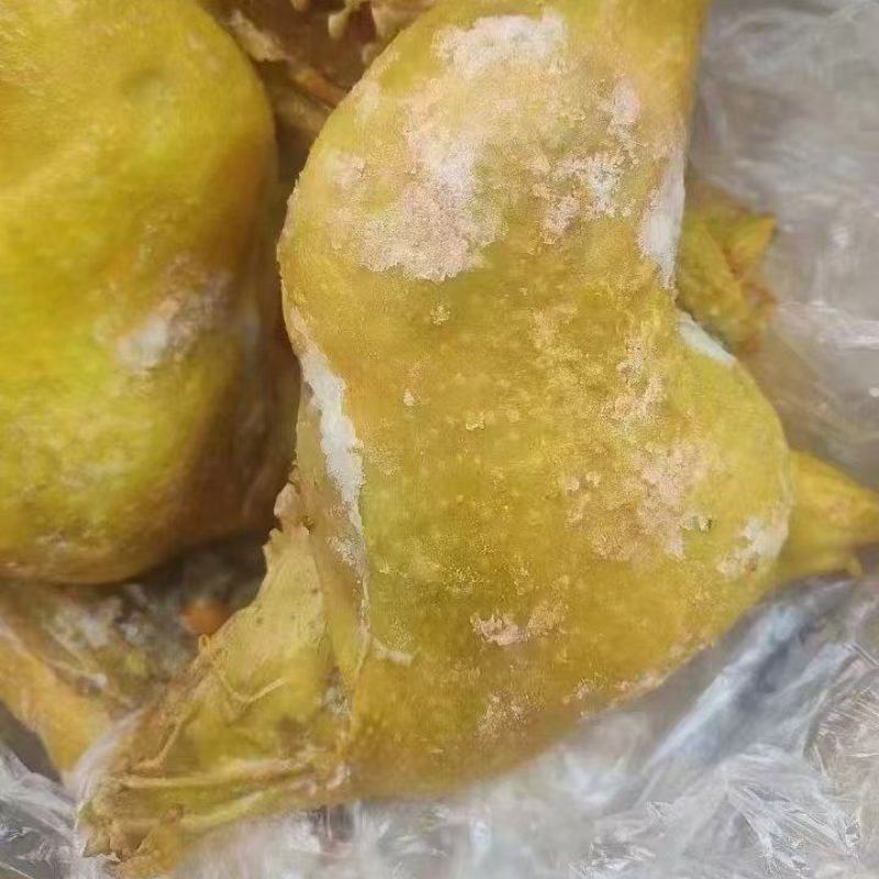 盐焗鸡腿新鲜美味支持零售批发全国可发欢迎咨询