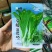苔优45杂交白菜苔种子早熟50~55天基地用种菜区种植