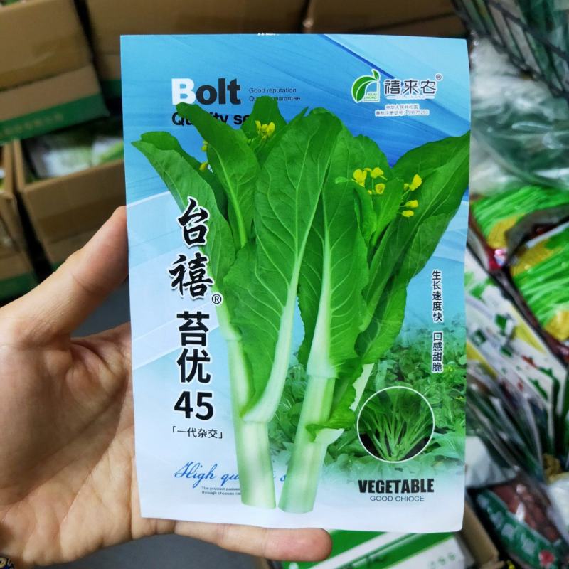 苔优45杂交白菜苔种子早熟50~55天基地用种菜区种植