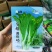 苔优45杂交白菜苔种子早熟50~55天基地用种菜区种植