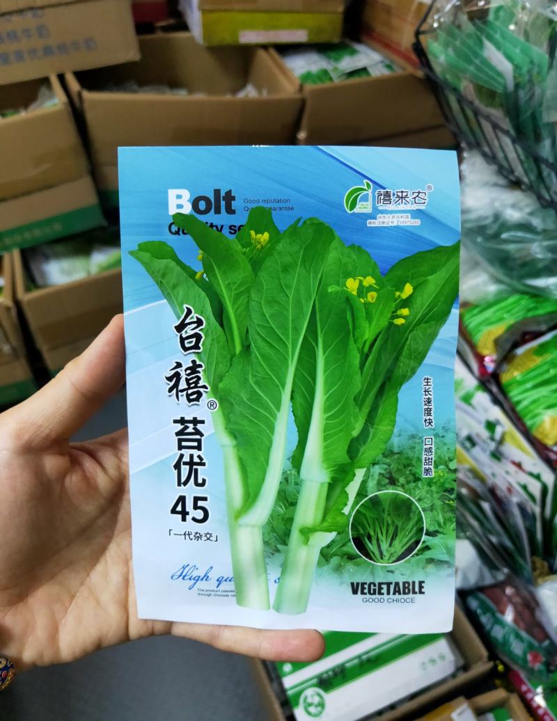 苔优45杂交白菜苔种子早熟50~55天基地用种菜区种植
