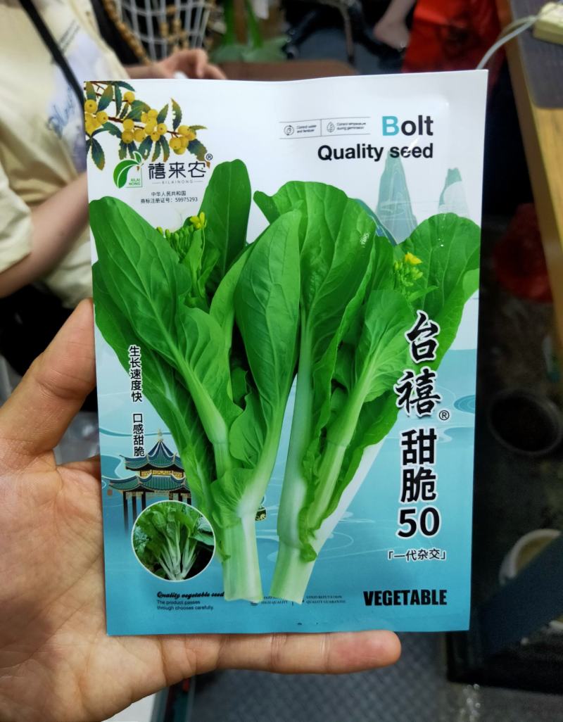 苔优45杂交白菜苔种子早熟50~55天基地用种菜区种植