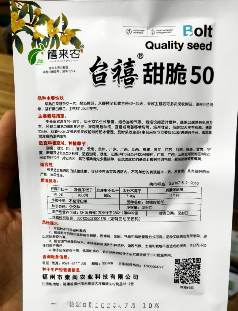 苔优45杂交白菜苔种子早熟50~55天基地用种菜区种植